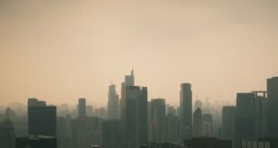 A view of a city skyline from a high rise