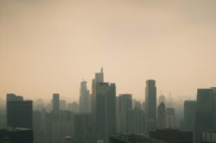 A view of a city skyline from a high rise