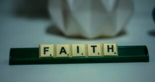 yellow and green lego blocks