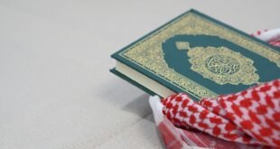 green and white book on white textile